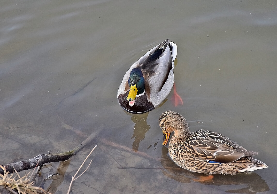 Вижу, что тебе стыдно!.. - Валентина  Нефёдова 
