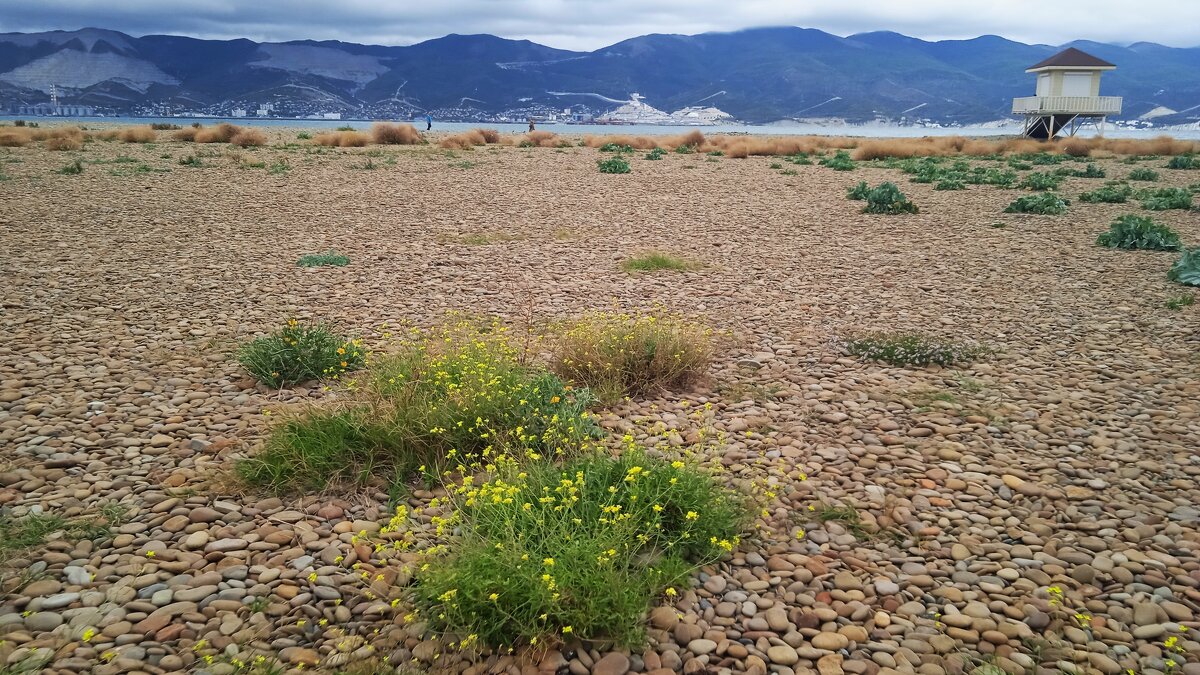 Суджукская коса - Елена Шаламова