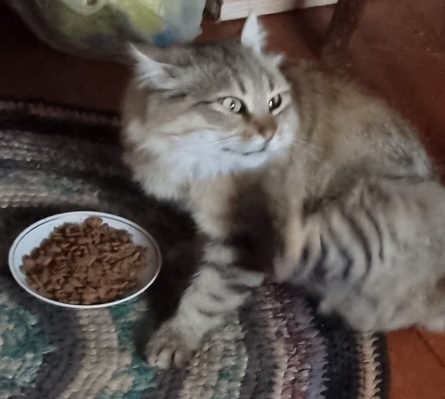 Каждый день одно и то же... - Наталья 