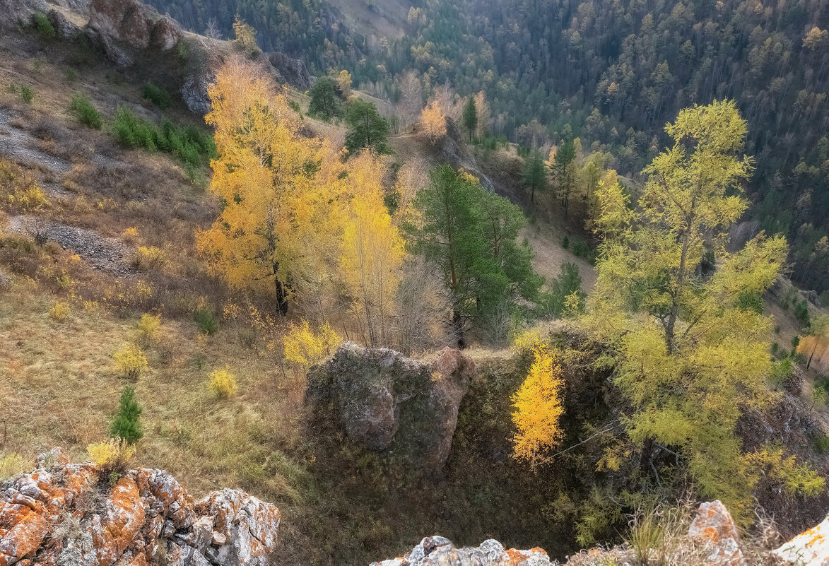 Осень торгашинского хребта - Марина Фомина.