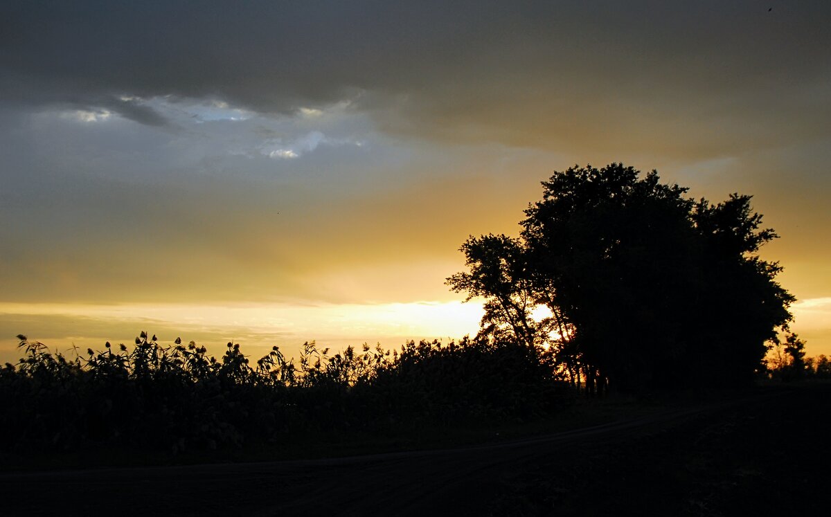 Утро. Октябрь. - Владимир 