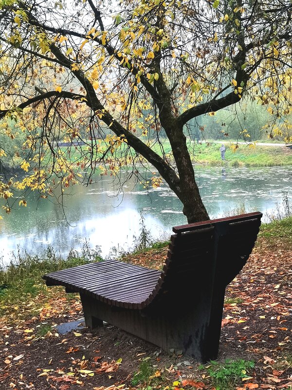 *** - Любимова Ольга 