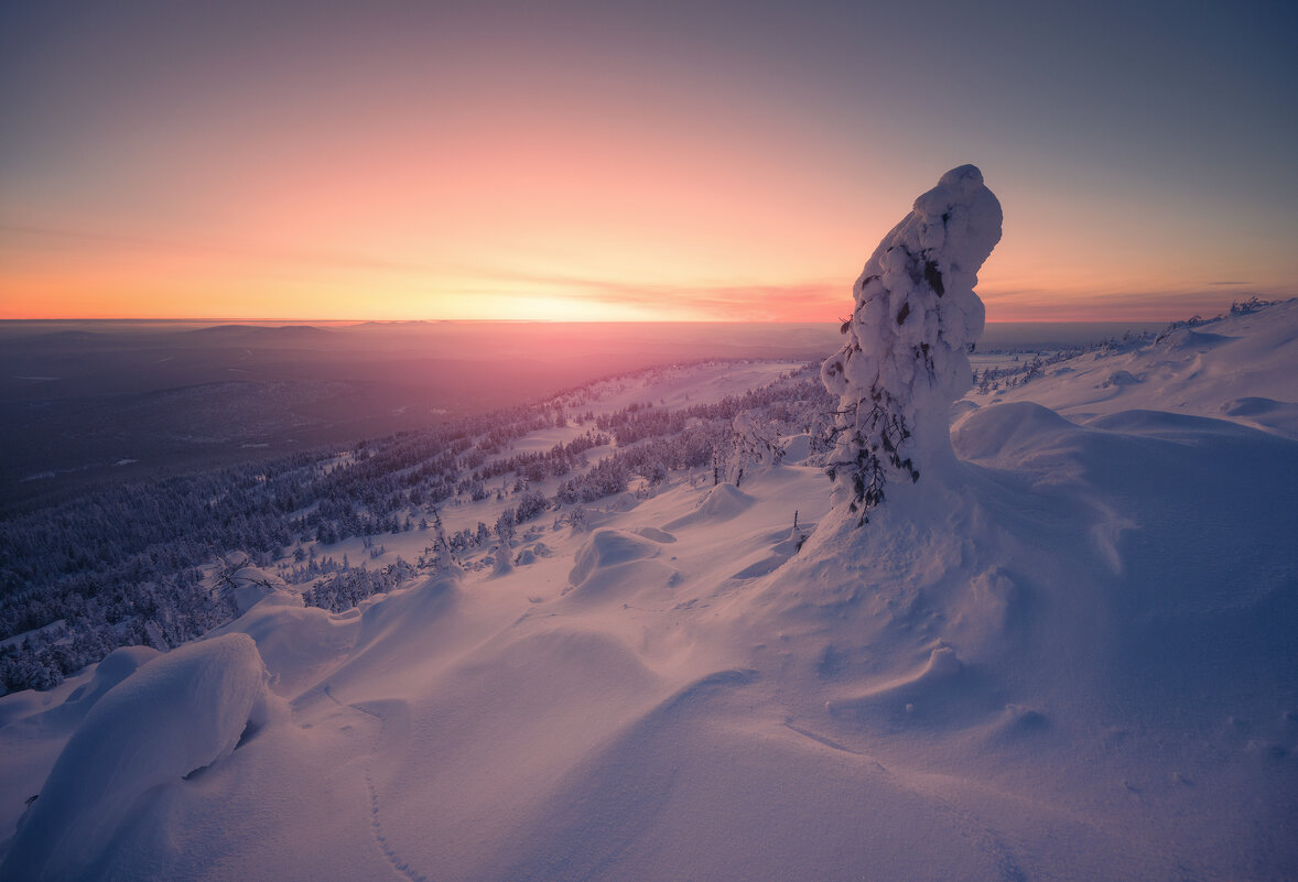 * - Александр Иванов * - Александр Иванов