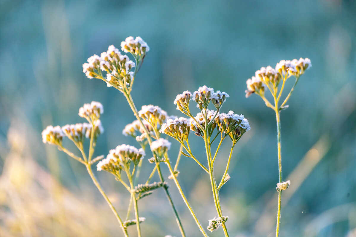 Утром - Александр 