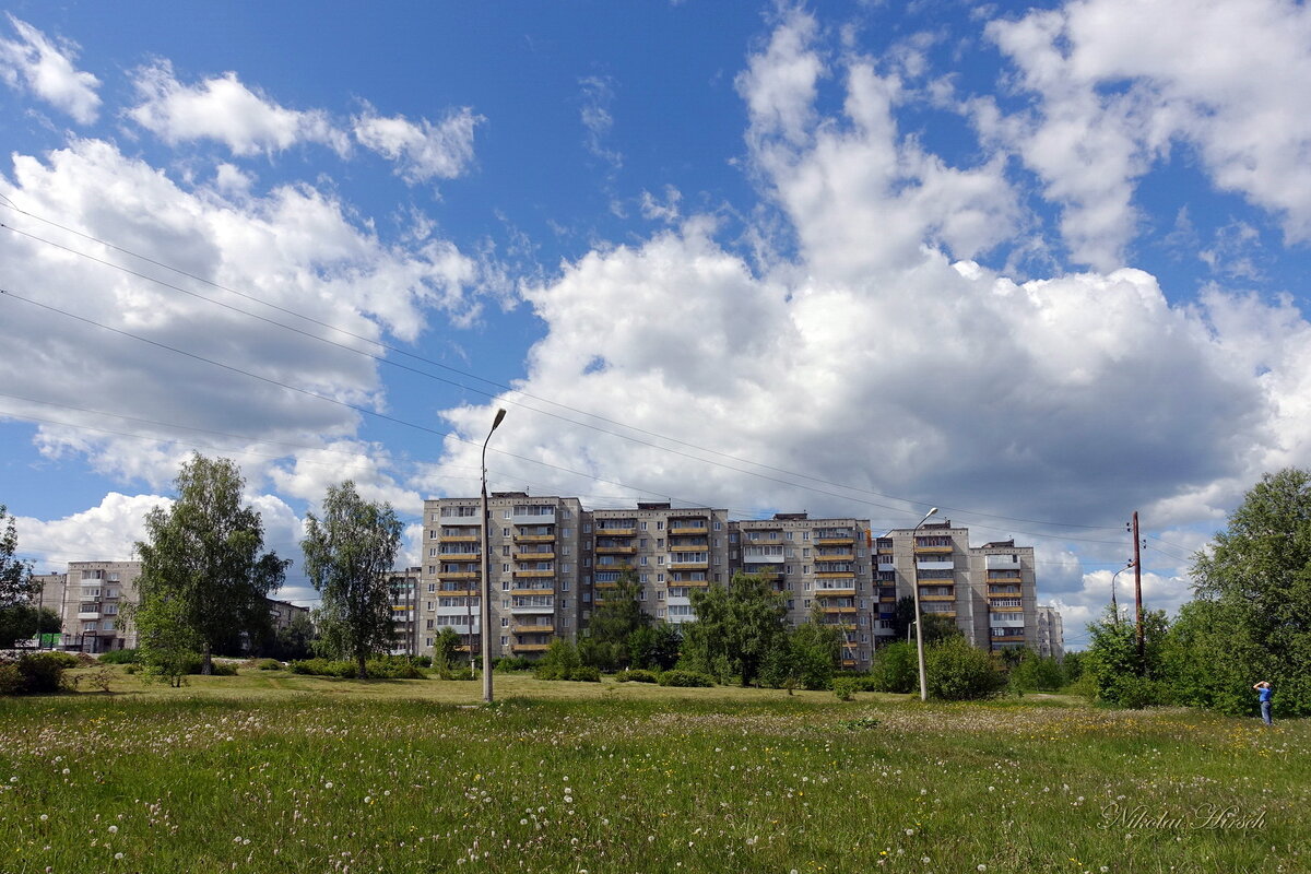 Человейник... - Николай Гирш Человейник... - Николай Гирш