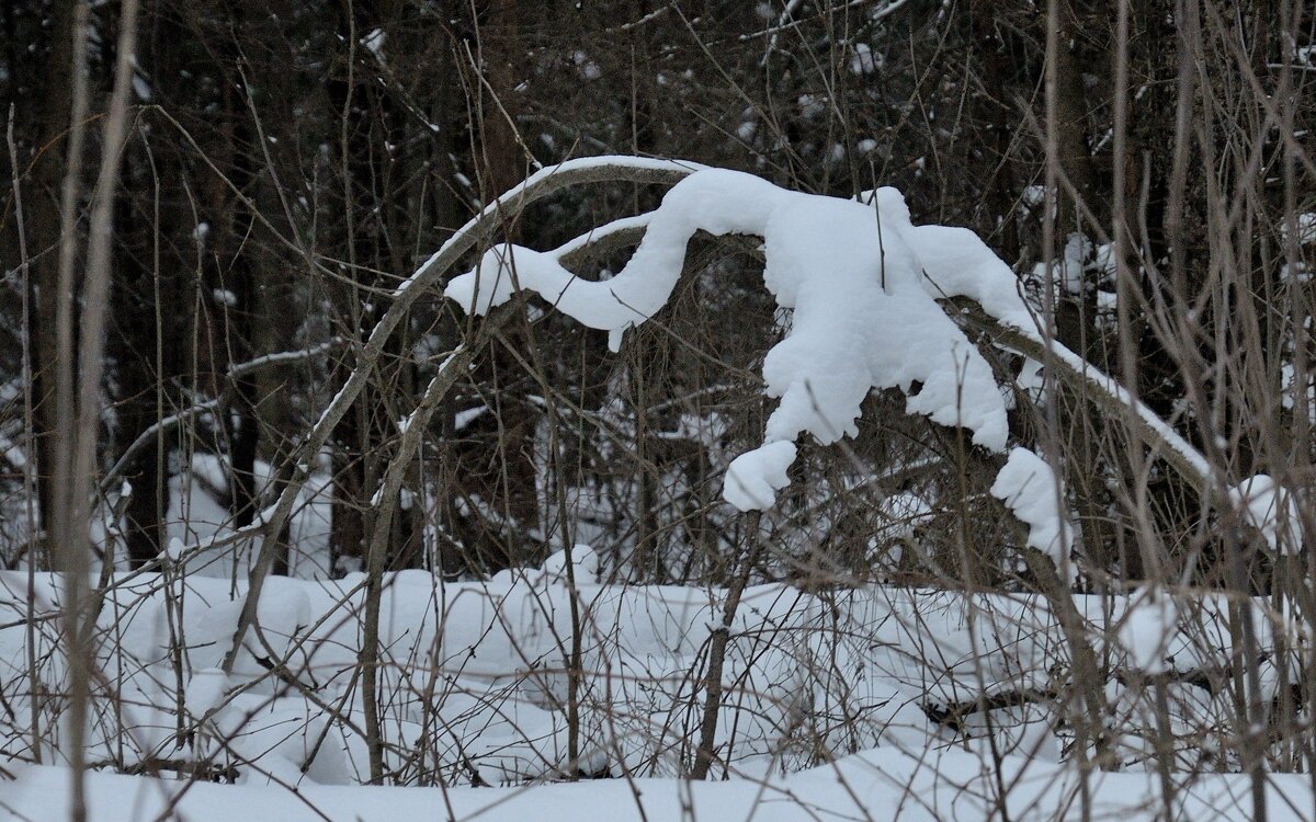 Динозаврик отдыхает - Иван Генералов