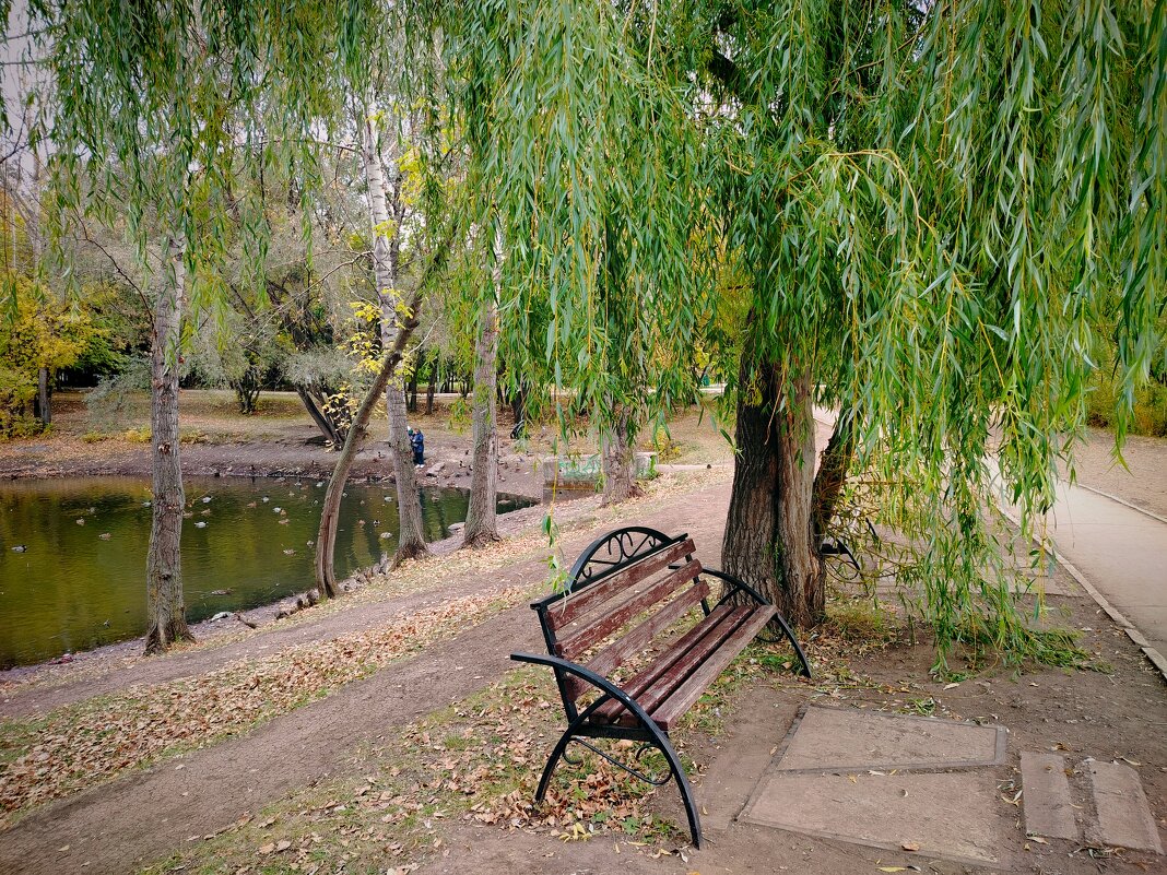 Самара - Надежда 