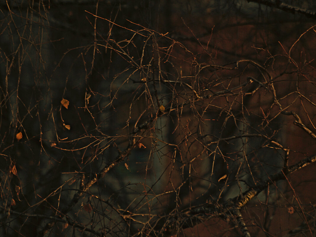 Осенние узоры - Сергей Сергеев