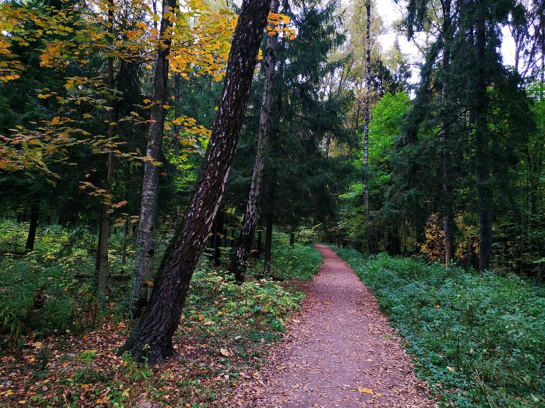 Осенние тропинки - Андрей Лукьянов