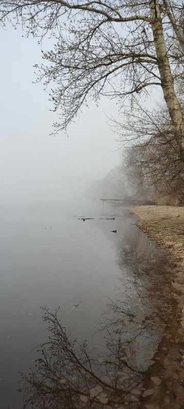 Туманное утро - Наталия 