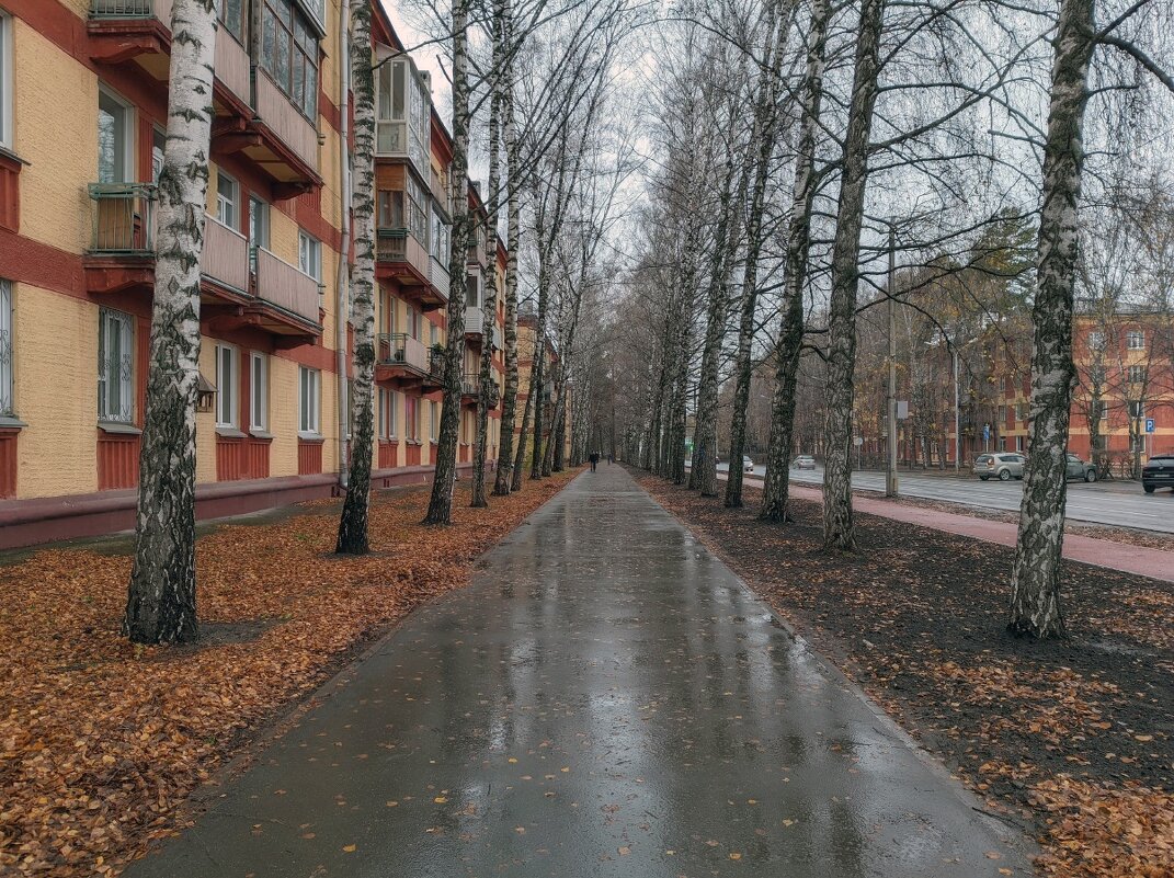 Морской проспект - николай 