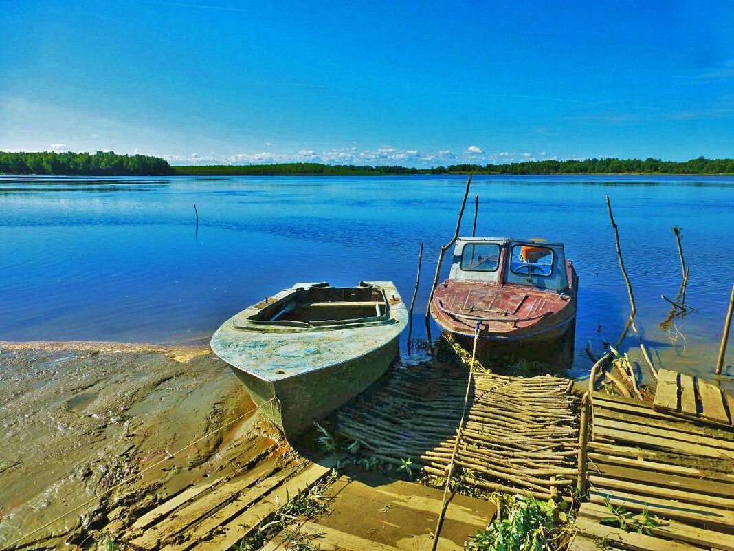 Сентябрь...На приколе! - Владимир 