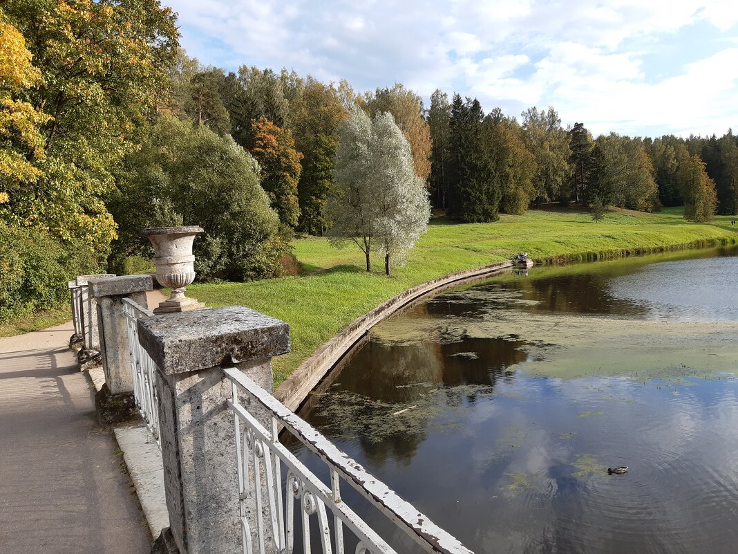 Павловск, Павловский парк - Галина Минчук