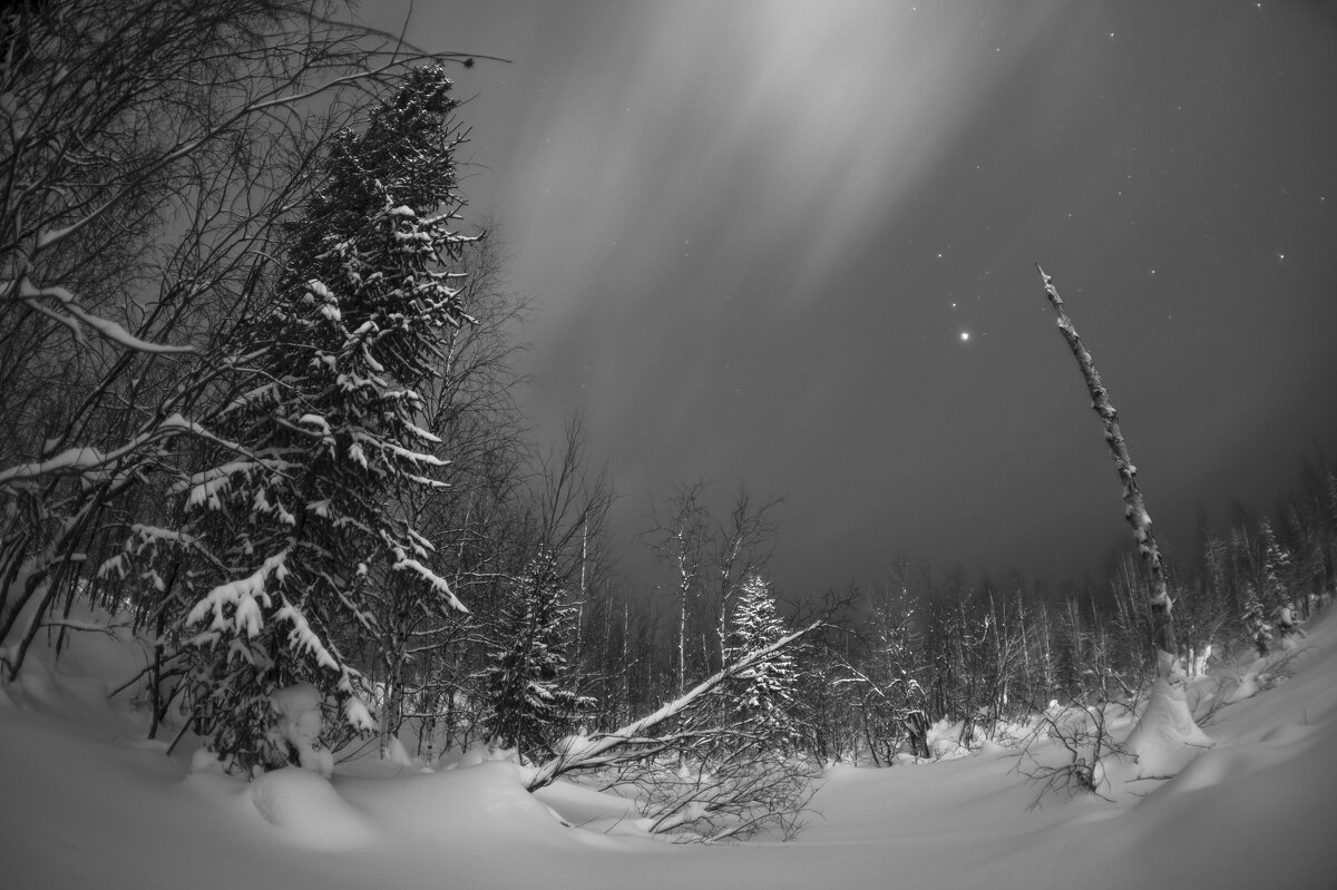 Ночное движение - Евгений Виличинский