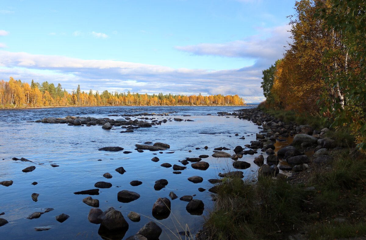 Ранний вечер - Ольга 
