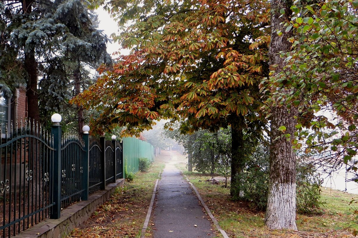 Люблю осенние туманы, в них грусти лёгкая печаль... - Татьяна Смоляниченко