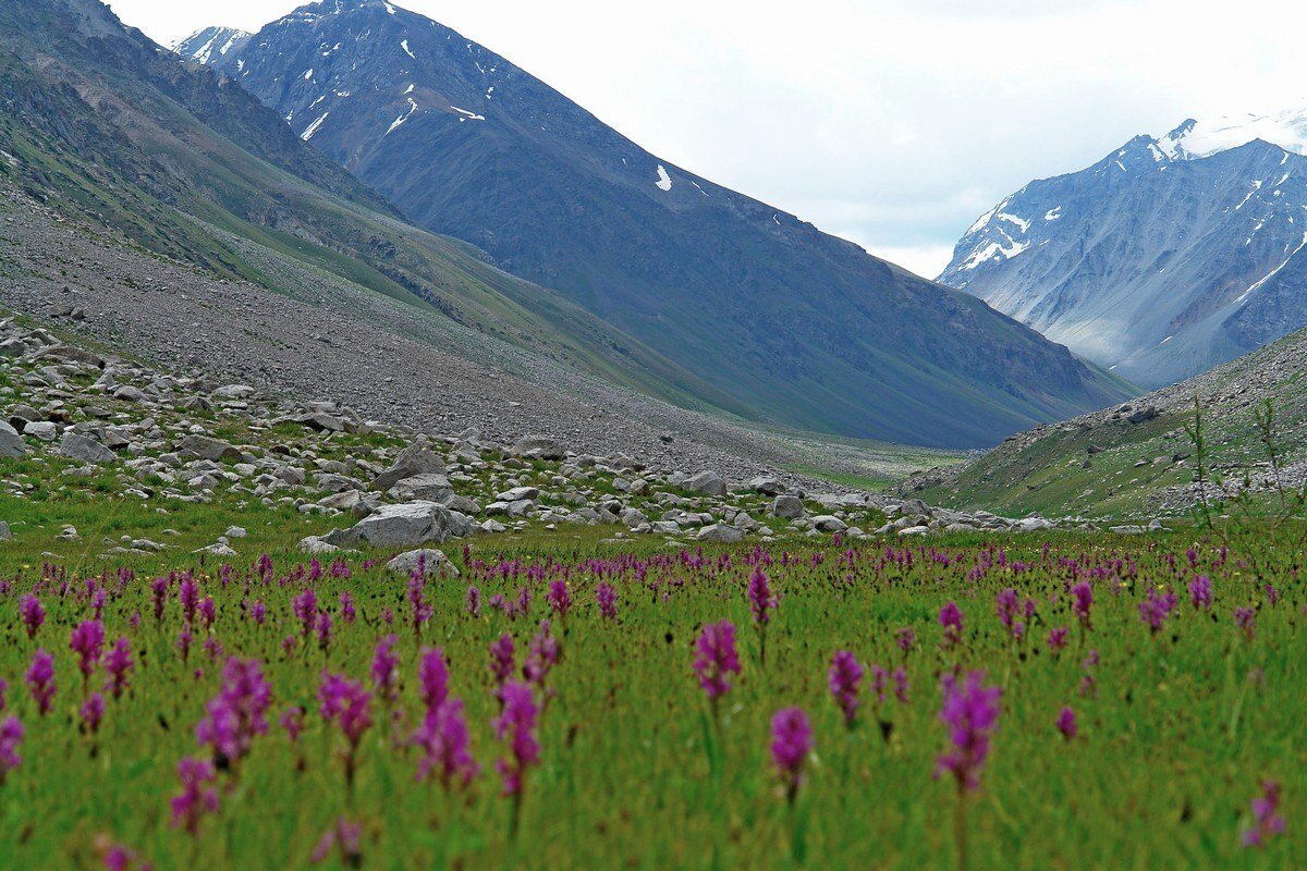 ПРИТОК ОЙГАИНГА. h- 2850м. - Виктор Осипчук