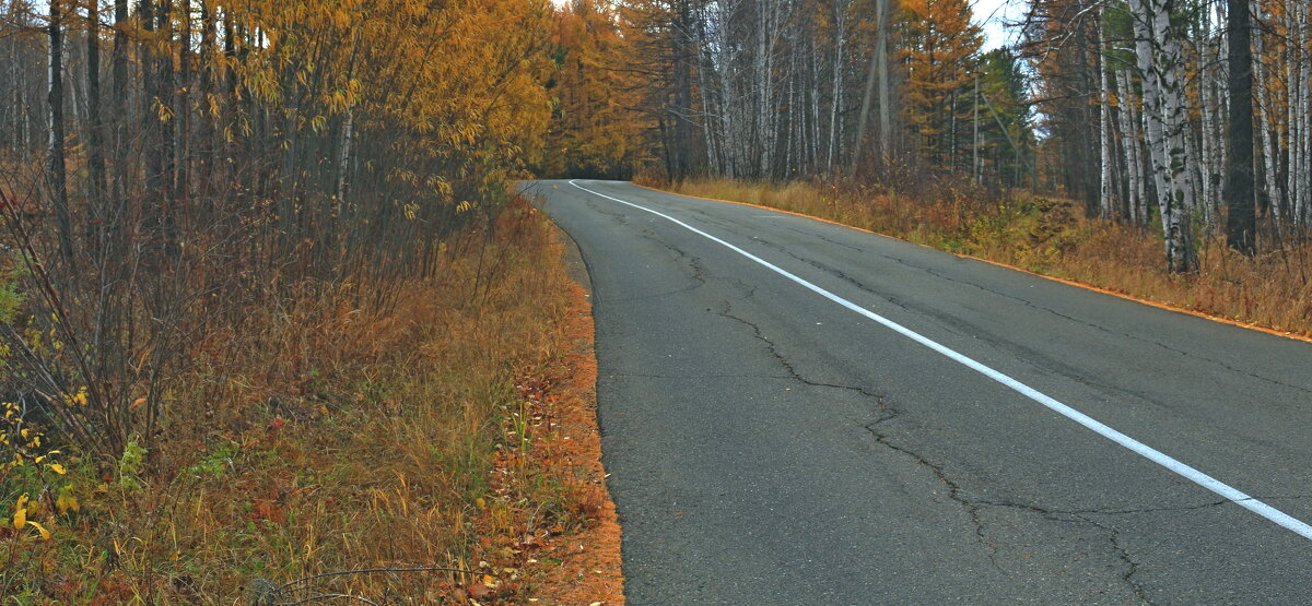 Сухой асфальт - Мишель71 