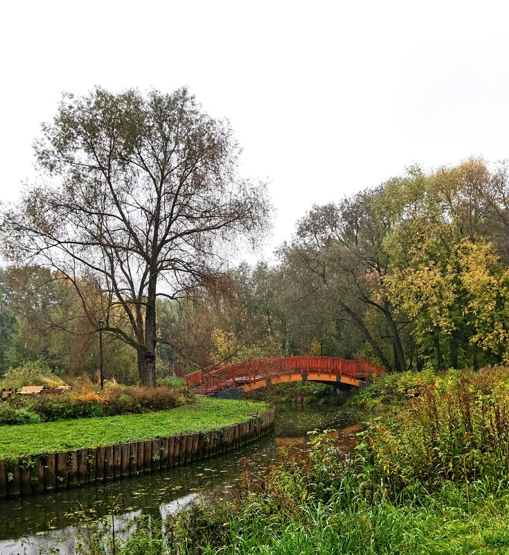 *** - Любимова Ольга 