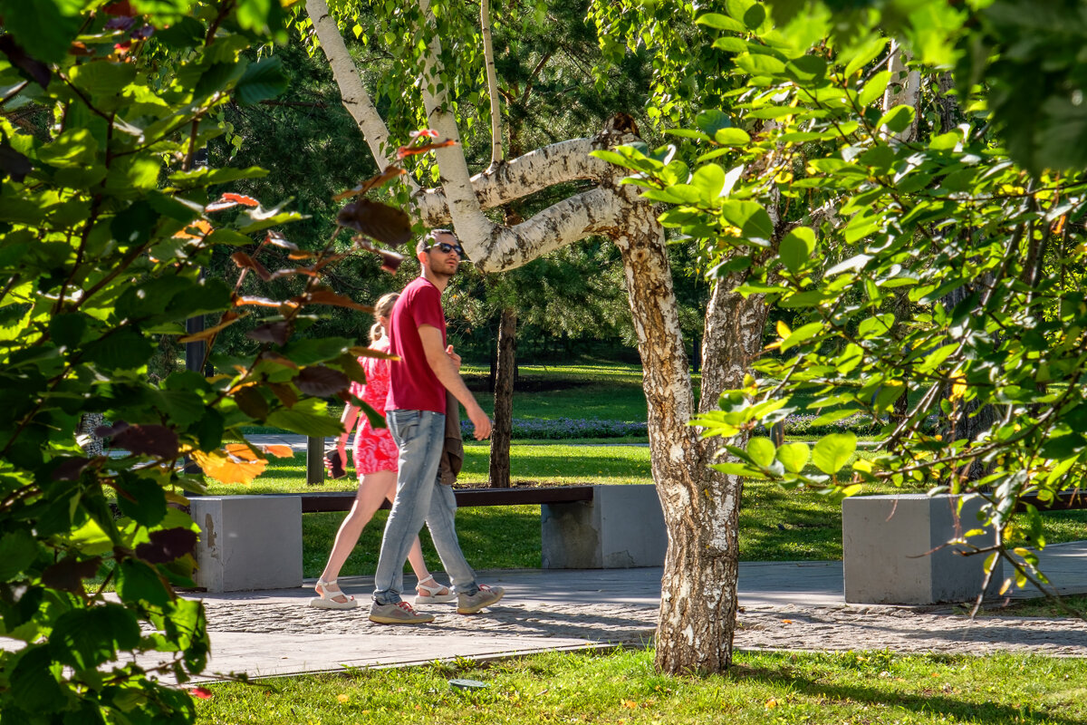 Некому березу заломати? Ну-ну... - Сергей Шатохин 