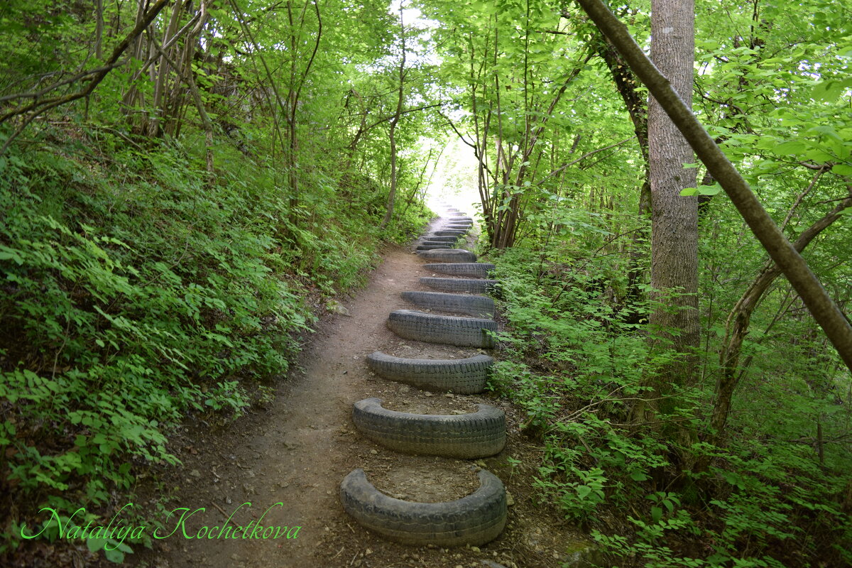 Природа Крыма - Amazing Cosmea