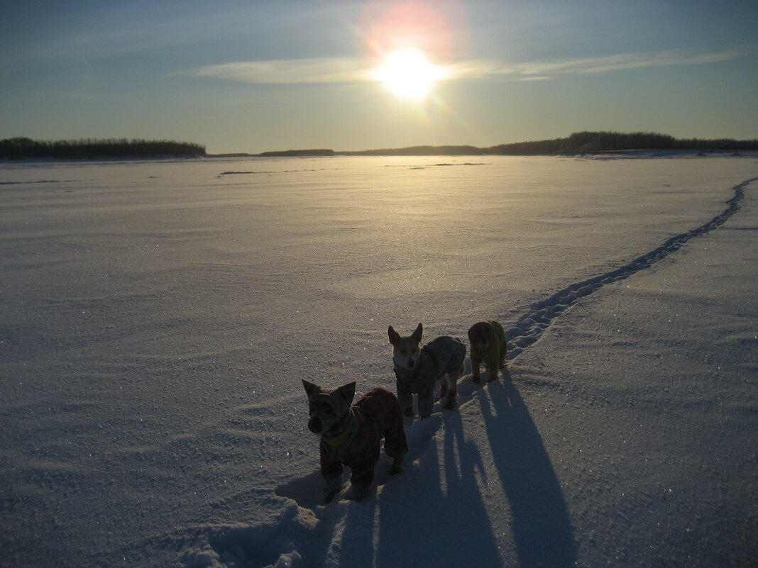 Зима - Anna Ivanova