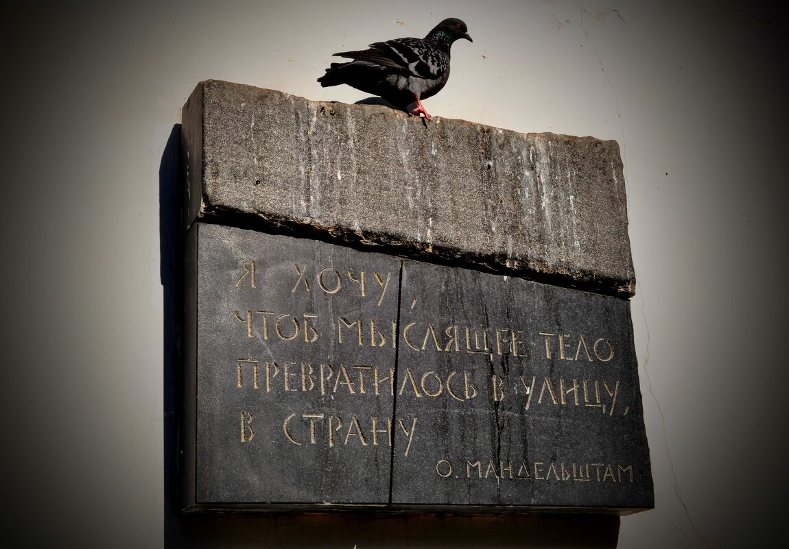 Памятная доска Осипу Мандельштаму - Анатолий Колосов Памятная доска Осипу Мандельштаму - Анатолий Колосов