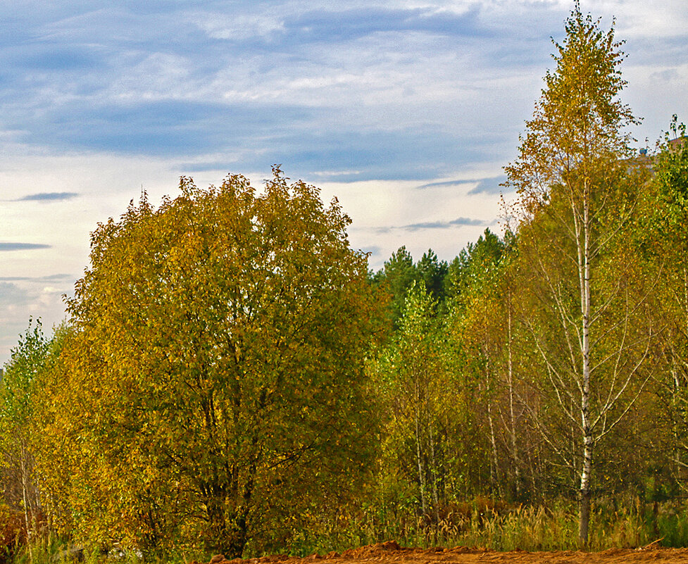 В начале осени - Светлана 