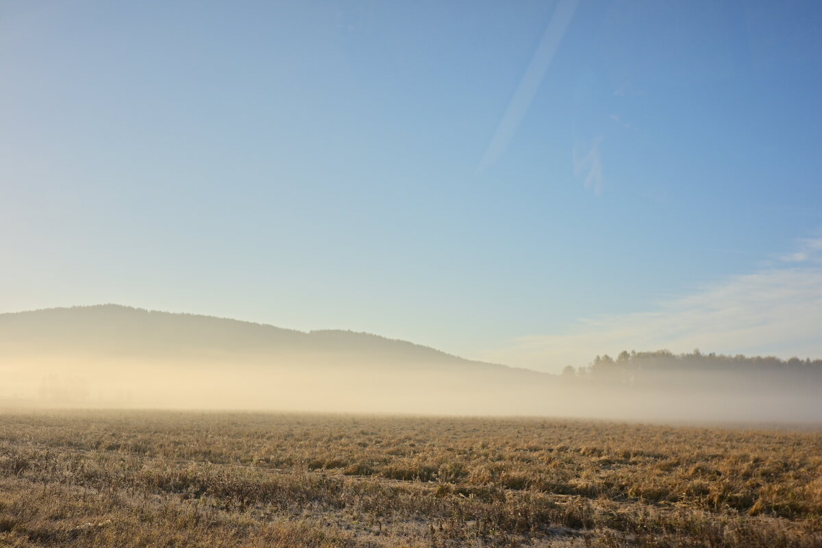 Шёлковые ленты тумана - Владислав Левашов