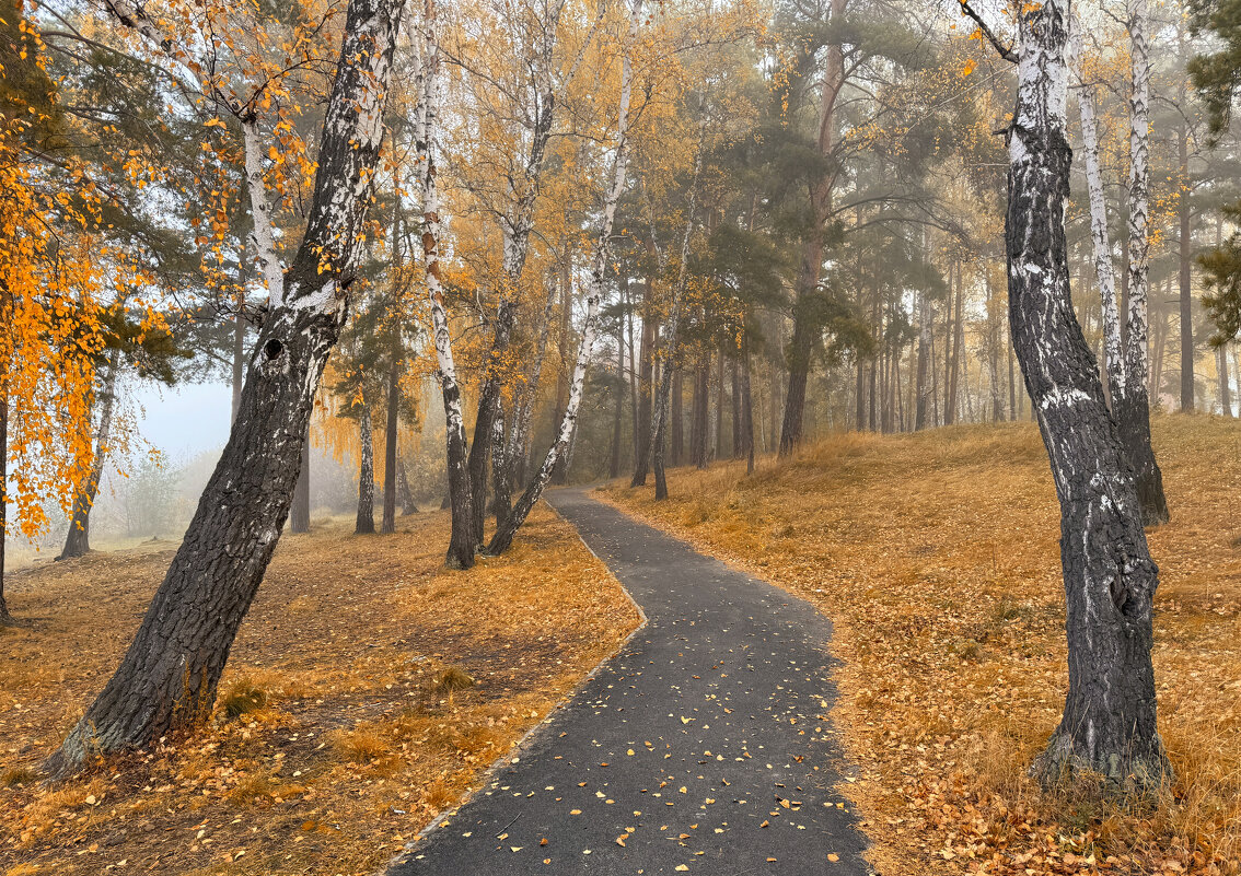 Туманная дорожка осени. - Сергей Адигамов