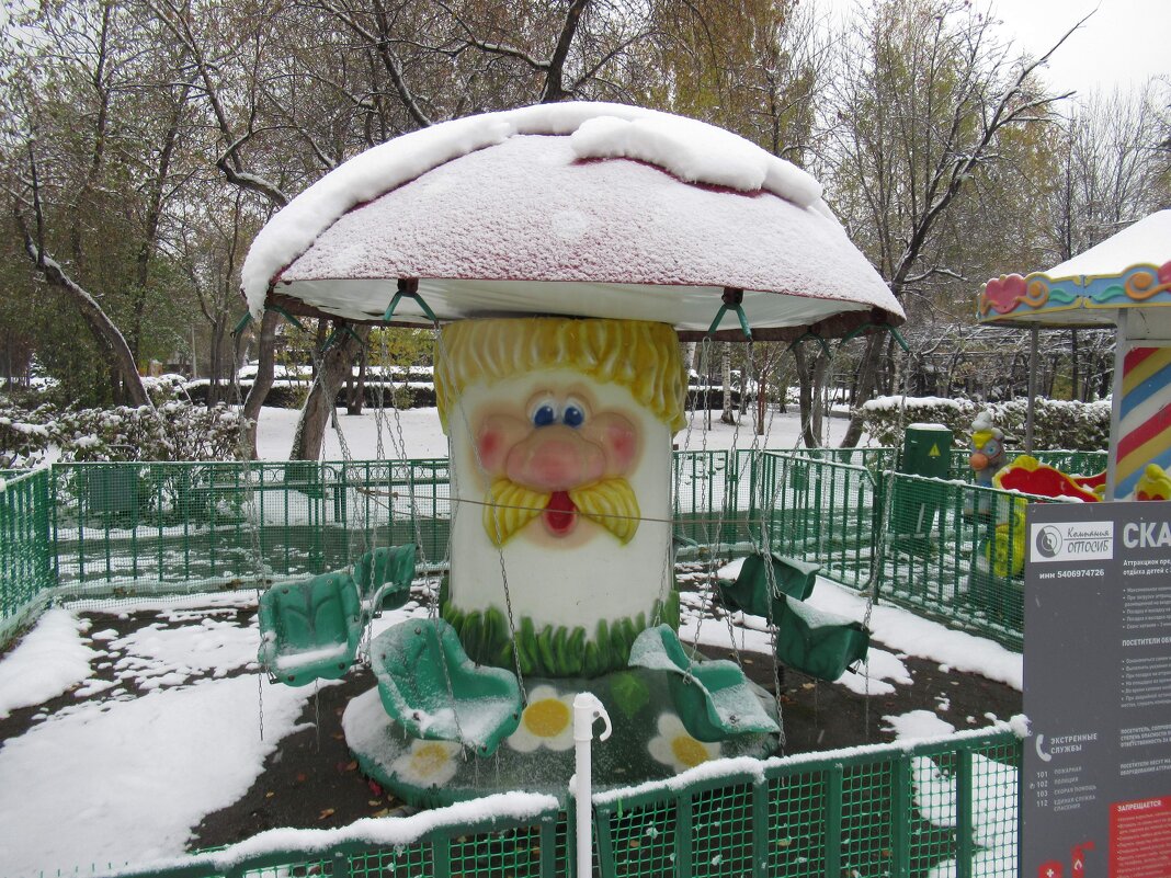 Грибная карусель - Андрей Макурин Грибная карусель - Андрей Макурин