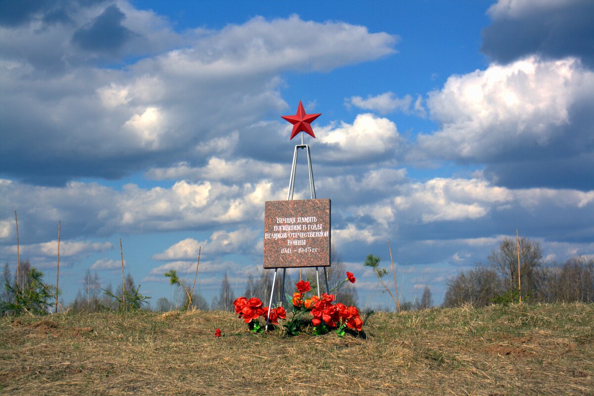Захоронение у д.Белошкино - Артем 