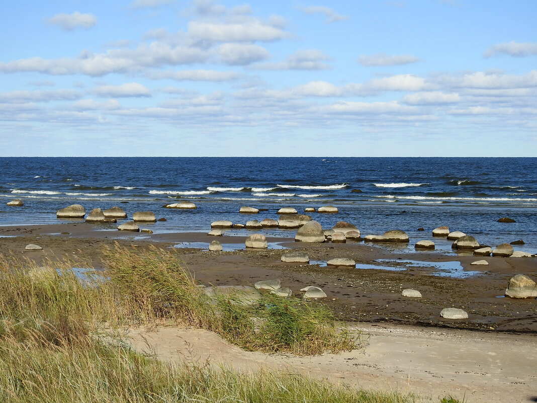 ****** - ИННА ПОРОХОВА