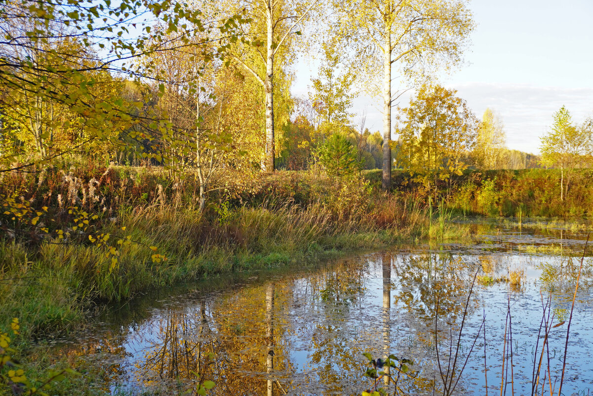 Осенние краски - Сергей Ц