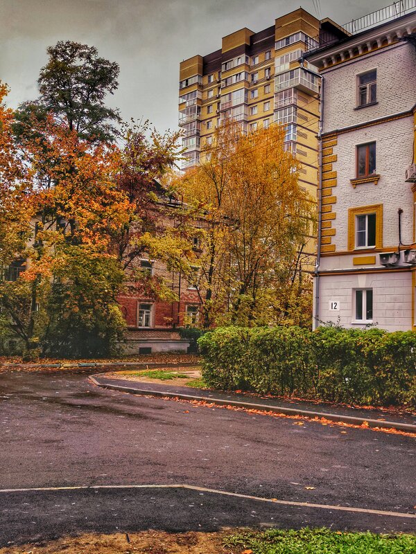 **** - Алексей Архипов