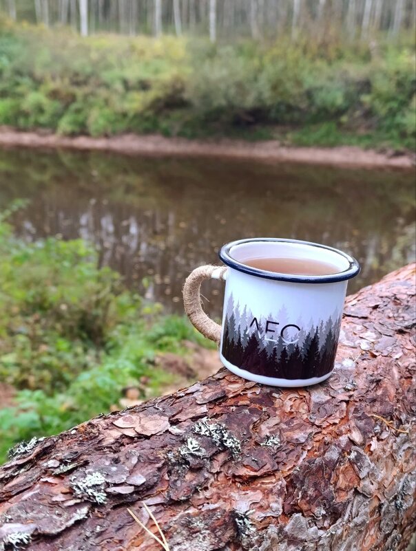 . - Анастасия Софронова