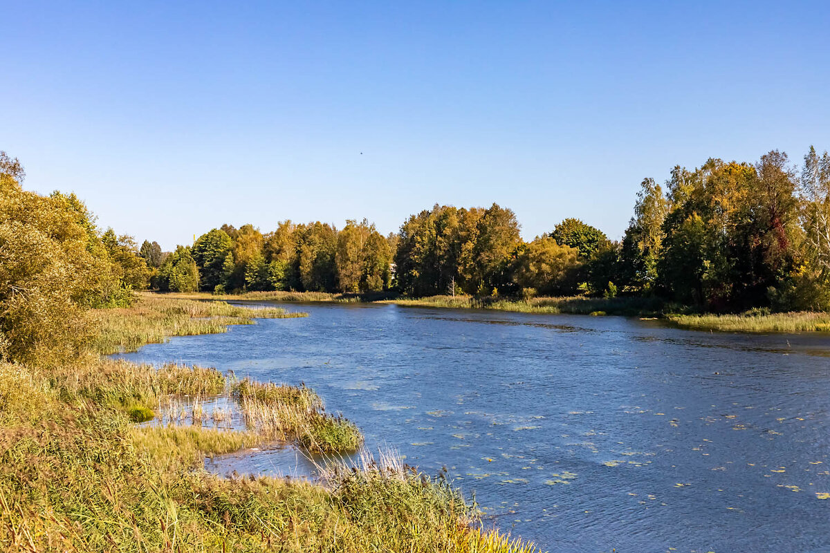 Десна - Александр 