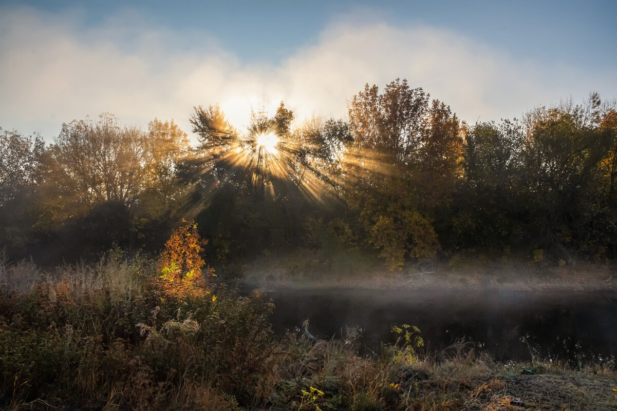 Осеннее утро - Ирина 