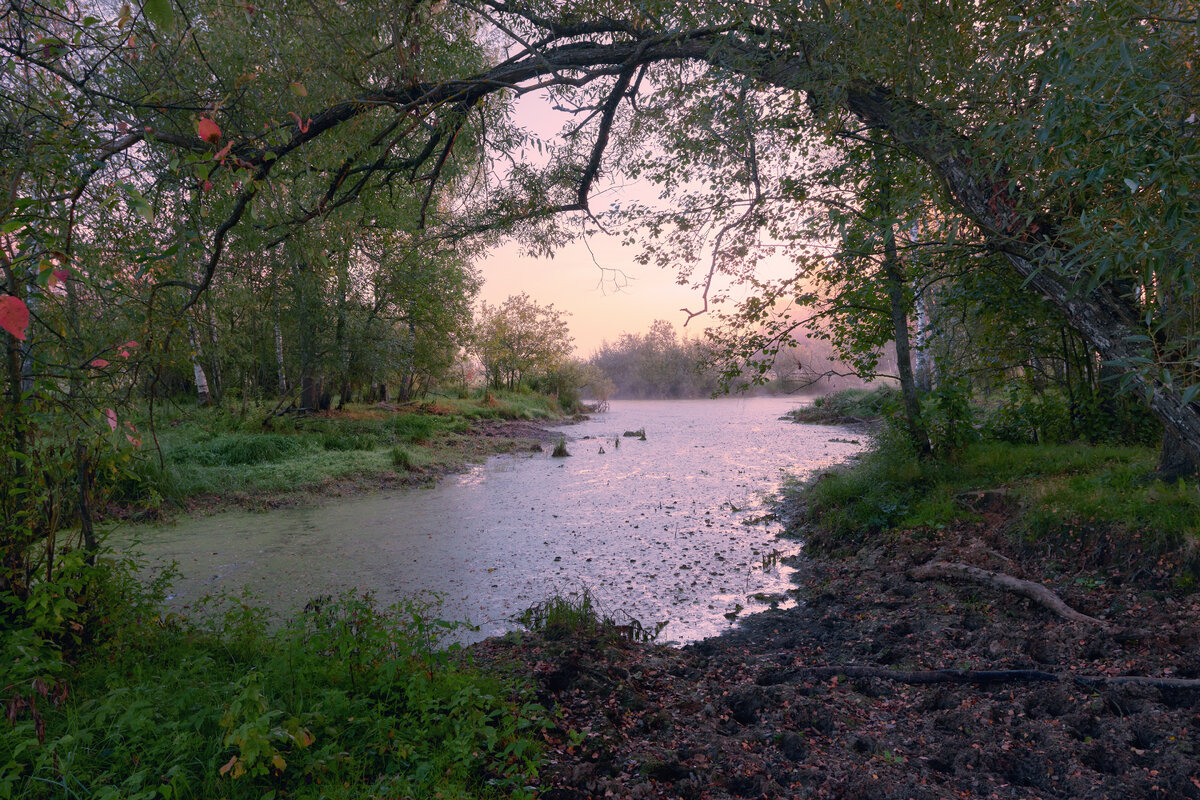 Полог ... - Roman Lunin