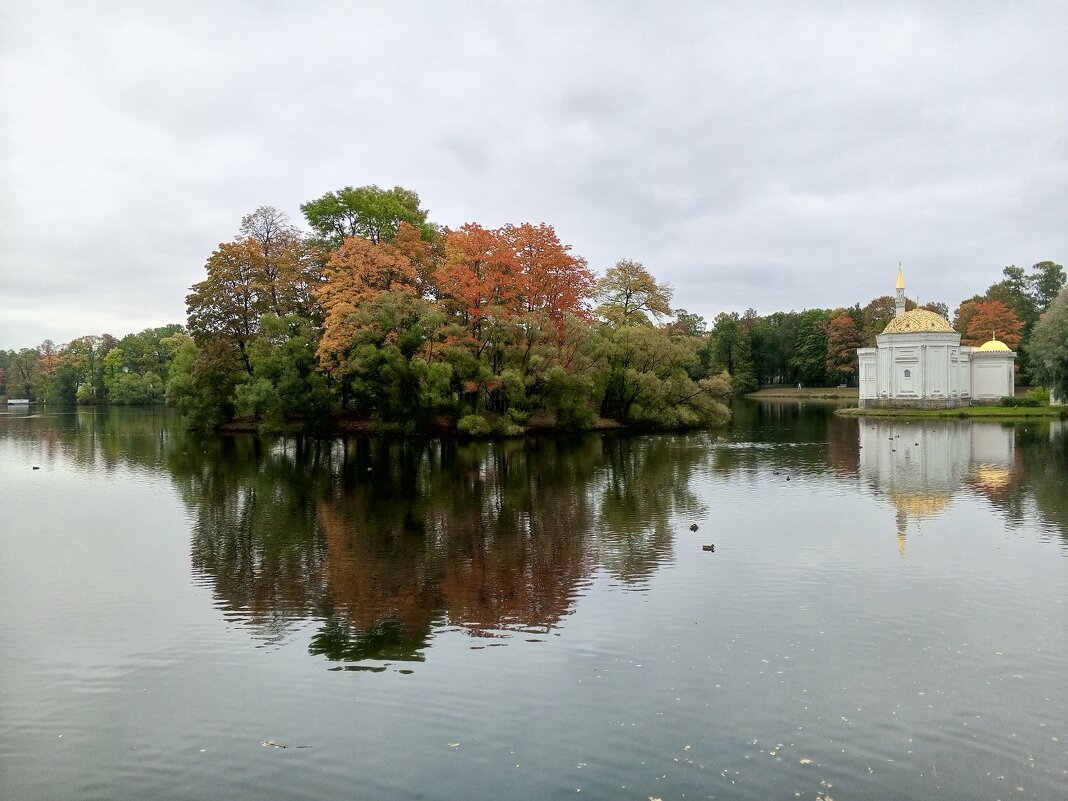 Осень - Сапсан 