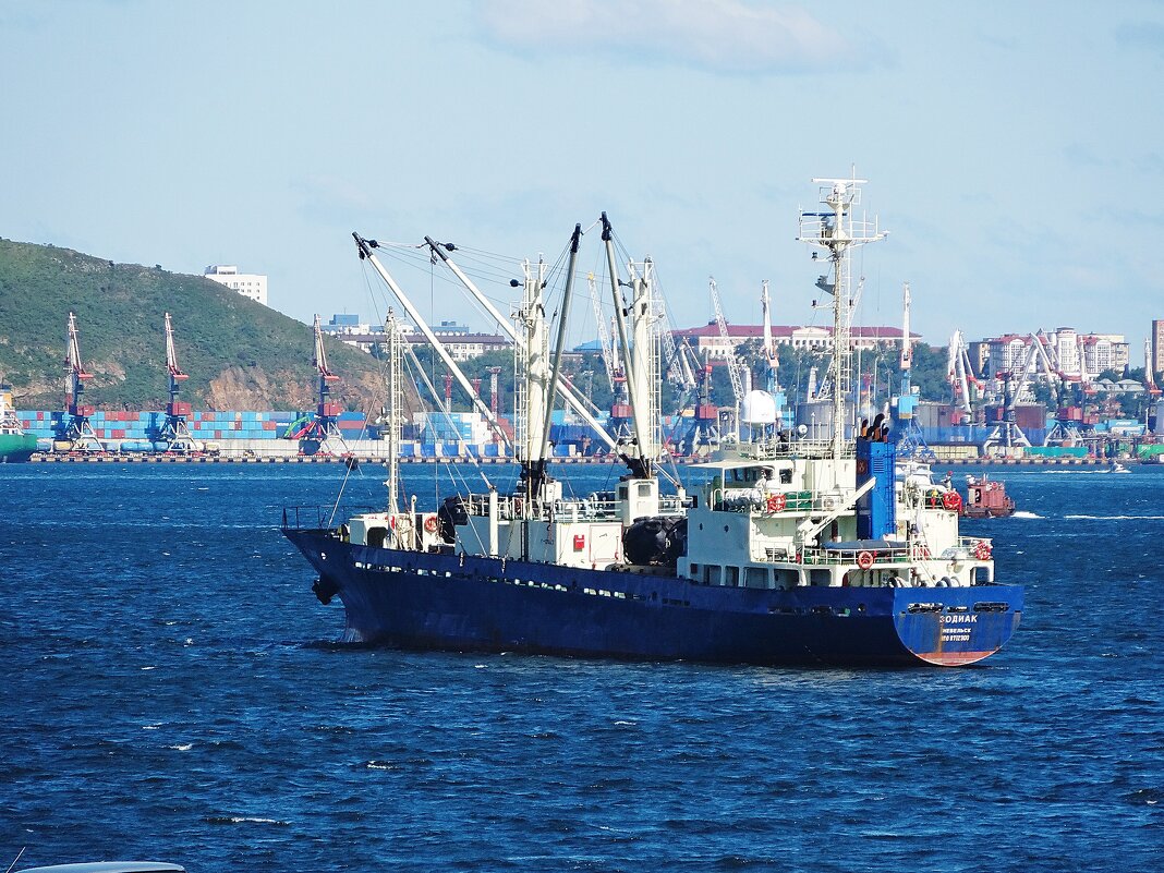 Остров Русский - Лидия Бусурина