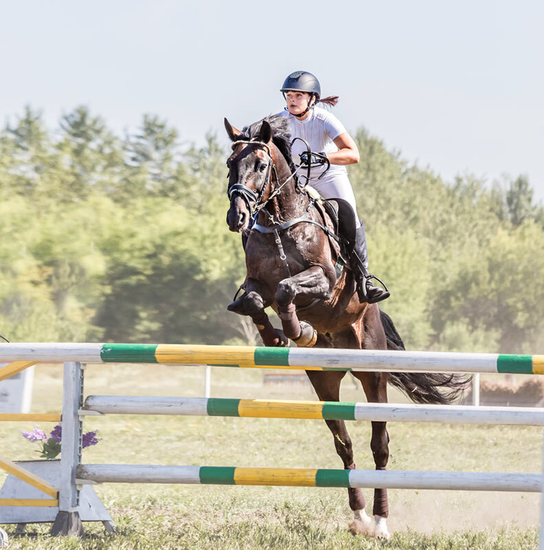 Конкур - SanSan 