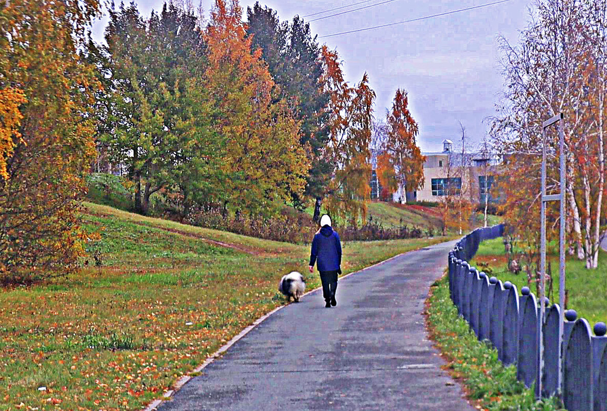 Октябрь...Утренняя  прогулка с псом! - Владимир 