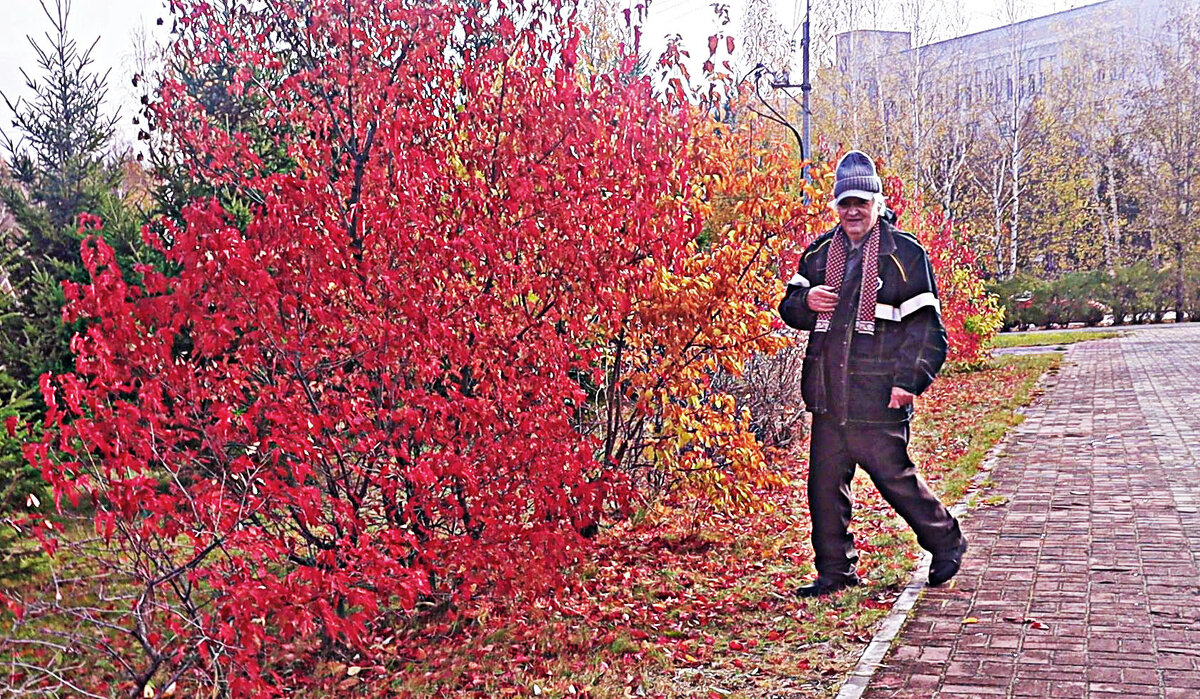 Октябрь...У огненного куста! - Владимир 