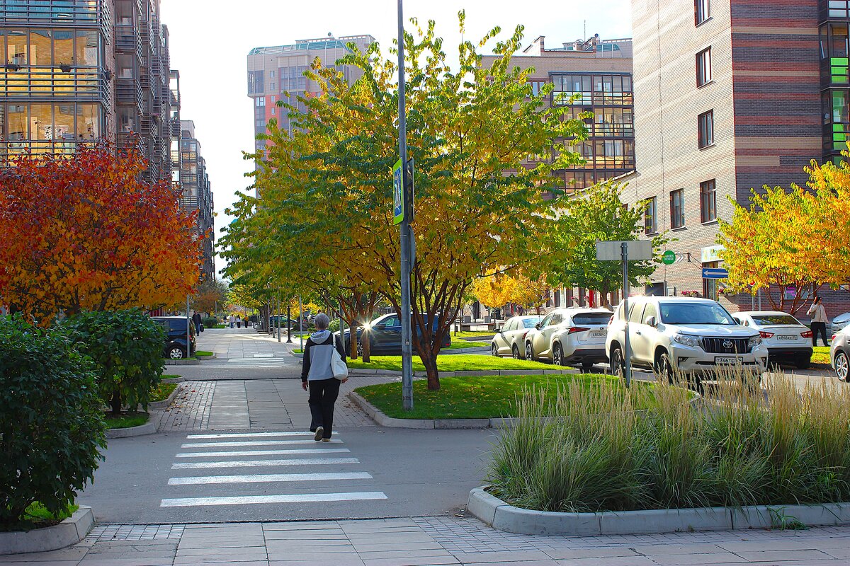 Осенний Красноярск - Василий 