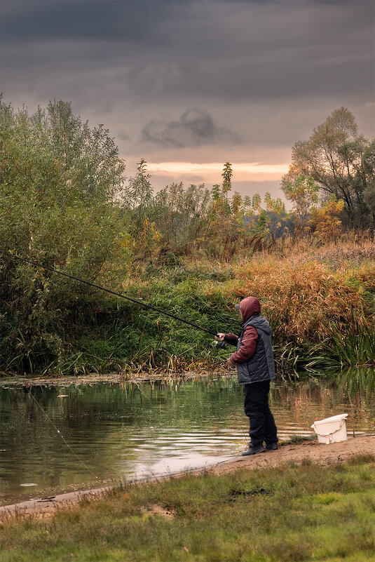 на вечернюю зорьку - Michel 
