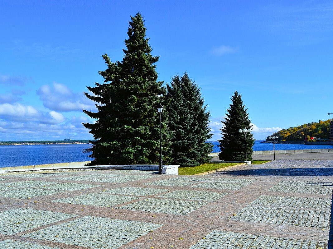 Чебоксары. Ели на Московской набережной Чебоксарского водохранилища осенью. - Пётр Чернега
