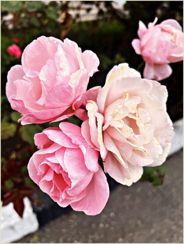 Осенние. - Валерия Комова Осенние. - Валерия Комова