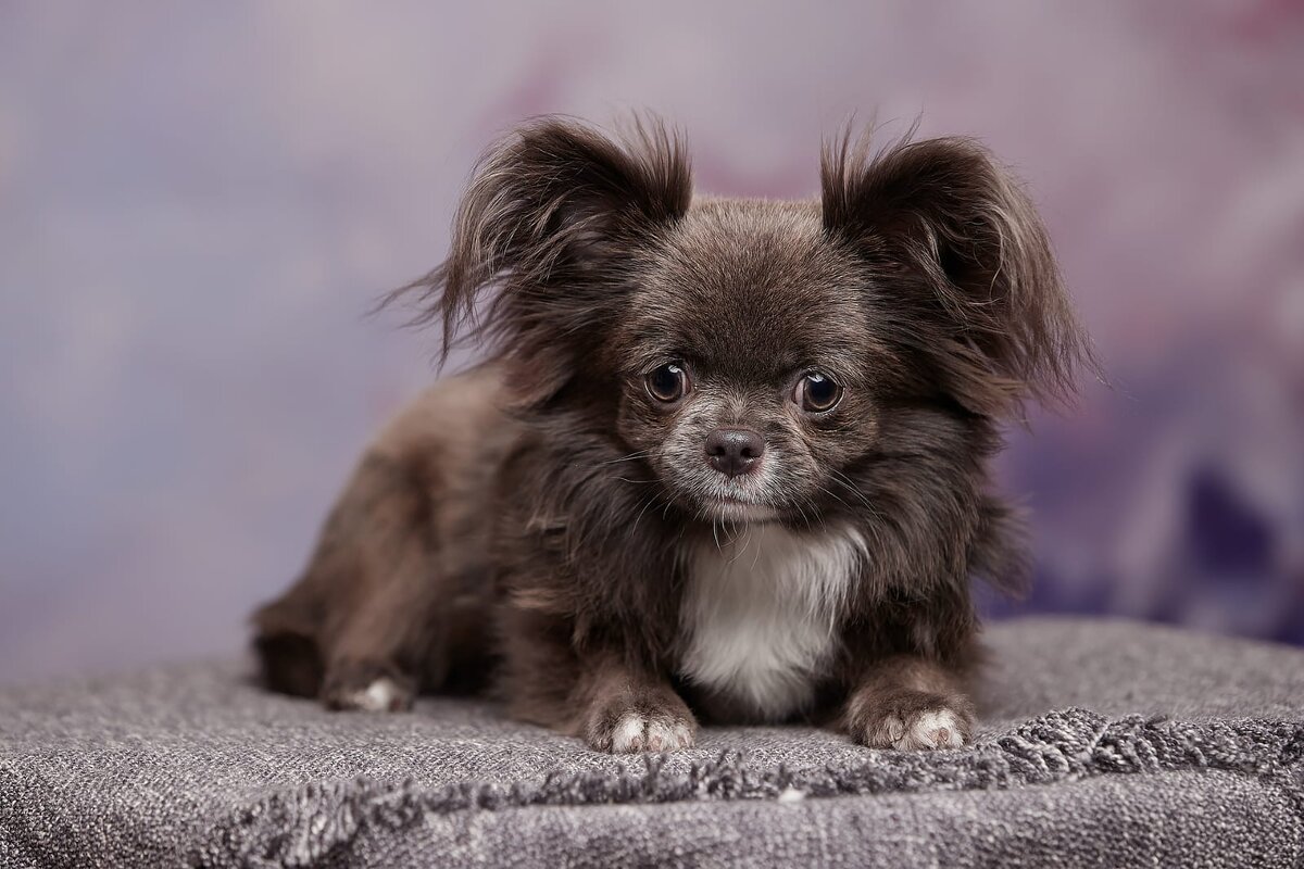 Федя - Евгений Васильев