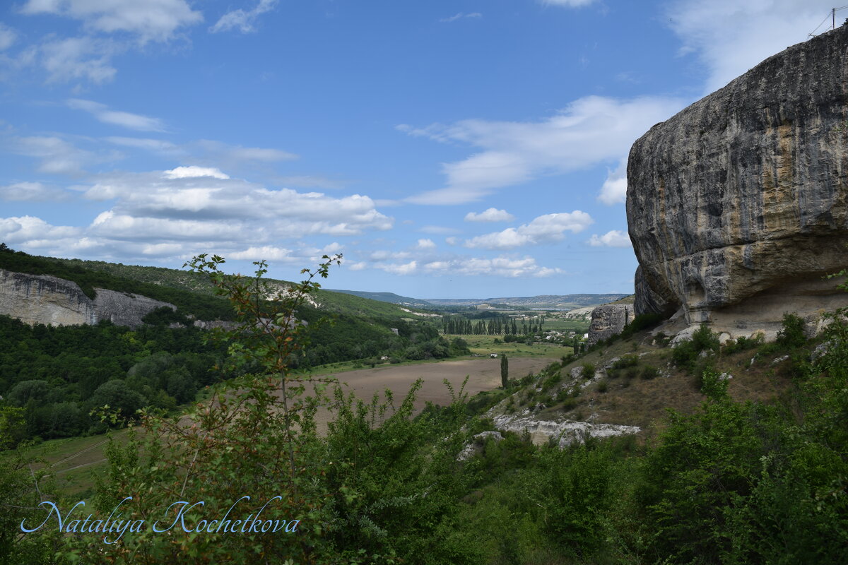 Природа Крыма - Amazing Cosmea